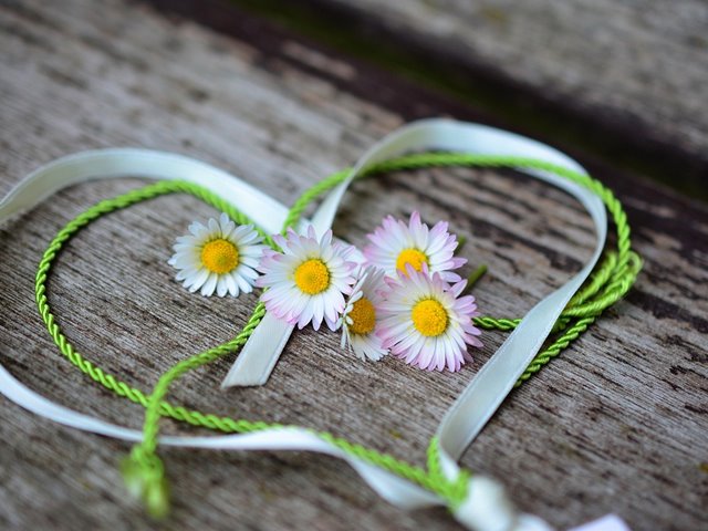 Har du tid og overskudd til frivillig arbeid?